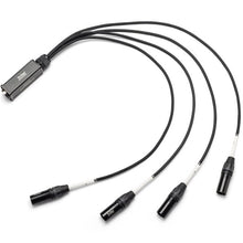 Load image into Gallery viewer, On-Stage TMP-OSPRO-SNK4CM Produciton-Grade Snake Signal Cable (Male)-Easy Music Center
