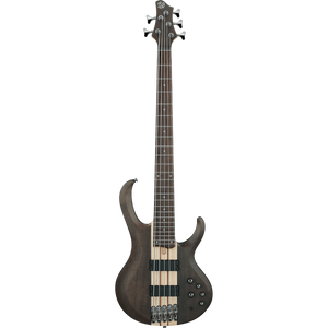 Ibanez BTB605TGF BTB Standard 5-String, a1 PU, Transparent Gray Flat-Easy Music Center