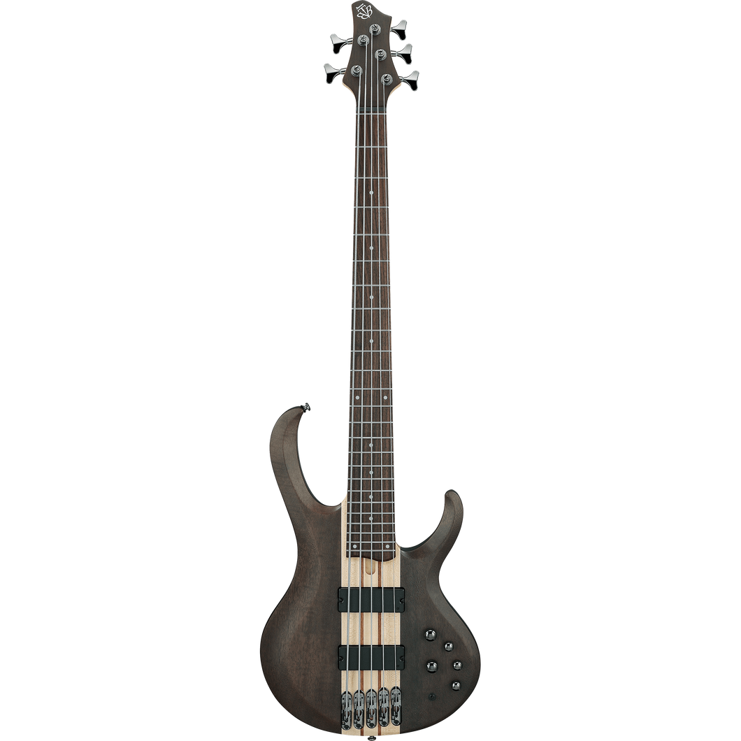 Ibanez BTB605TGF BTB Standard 5-String, a1 PU, Transparent Gray Flat-Easy Music Center