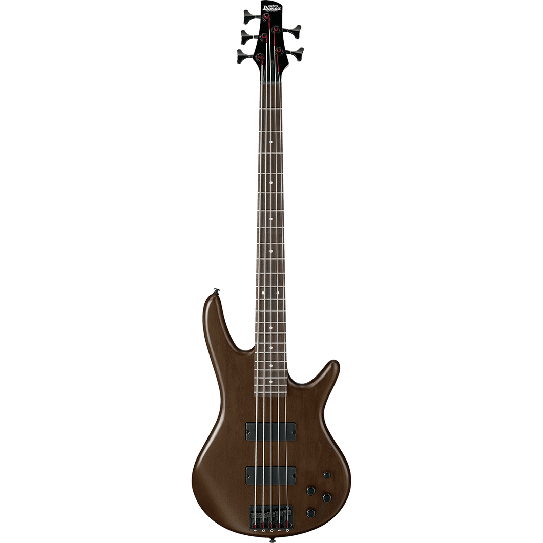 Ibanez GSR205BWNF Gio GSR 5 String Walnut Flat Mahogany Body, RW-Easy Music Center