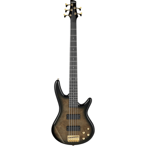 Ibanez GSR205PCTPB Gio SR 5-String, Transparent Pale Black Burst-Easy Music Center