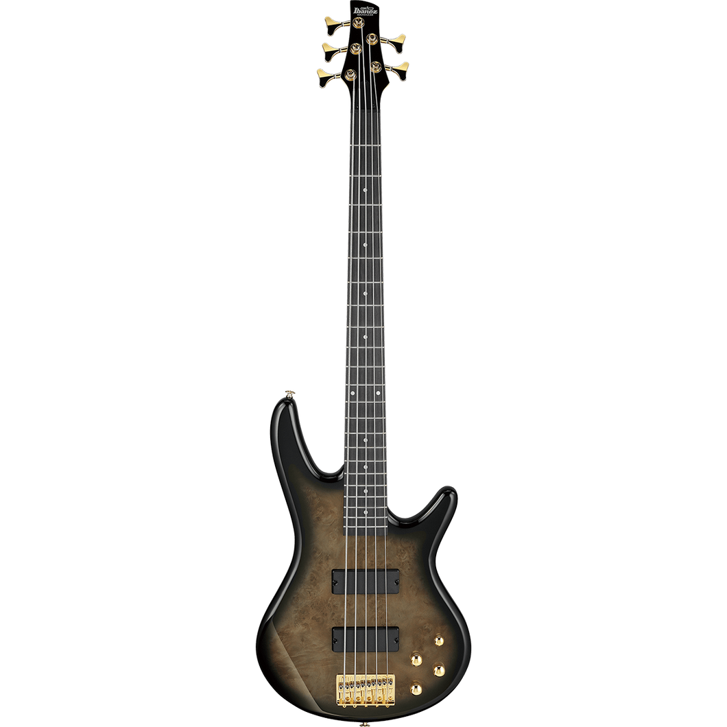 Ibanez GSR205PCTPB Gio SR 5-String, Transparent Pale Black Burst-Easy Music Center