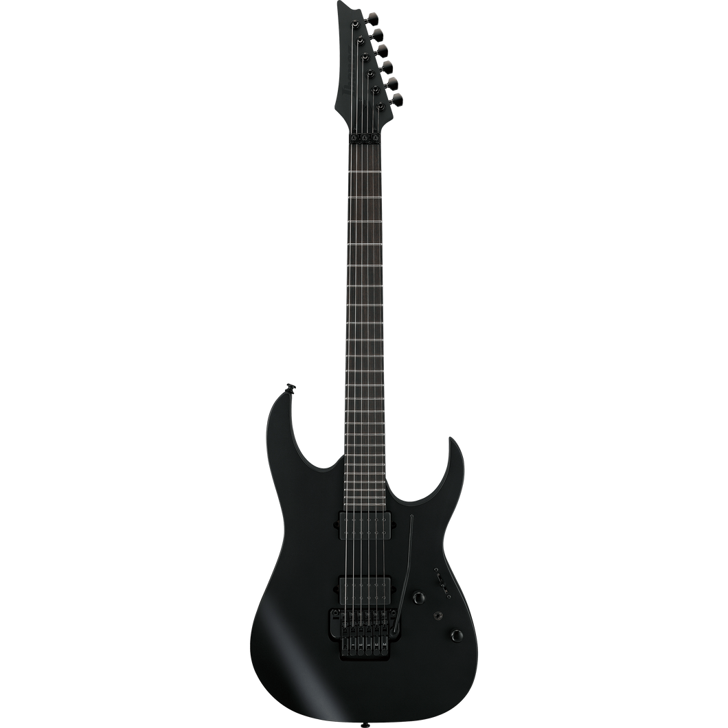 Ibanez RGRB620BKF RG Reverse Iron Label Blackout, HH, D Activator PU, Edge-Zero Trem, Black Flat-Easy Music Center