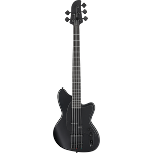 Ibanez TMB425BBKF Talman Bass Standard 5-String, Blackout Black Flat-Easy Music Center