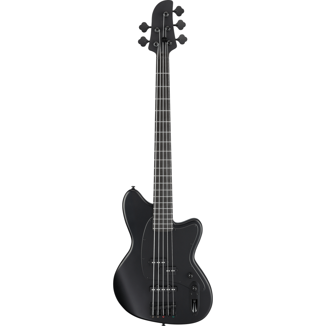 Ibanez TMB425BBKF Talman Bass Standard 5-String, Blackout Black Flat-Easy Music Center