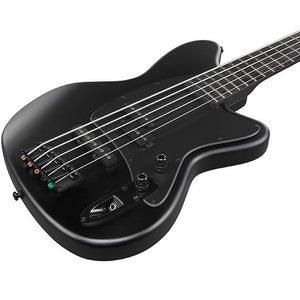 Ibanez TMB425BBKF Talman Bass Standard 5-String, Blackout Black Flat-Easy Music Center