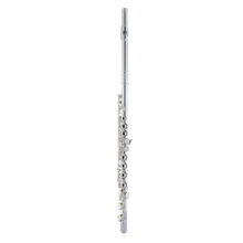 Load image into Gallery viewer, Armstrong AFL201 Student Flute-Easy Music Center
