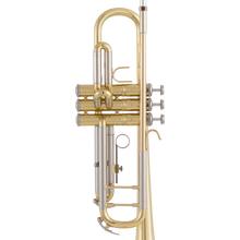 Load image into Gallery viewer, Bach Bach BTR302 Premium Student Bb Trumpet - Easy Music Center
