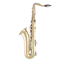 Load image into Gallery viewer, Selmer STS301 Premium Student Tenor Saxophone-Easy Music Center
