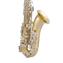 Load image into Gallery viewer, Selmer STS301 Premium Student Tenor Saxophone-Easy Music Center
