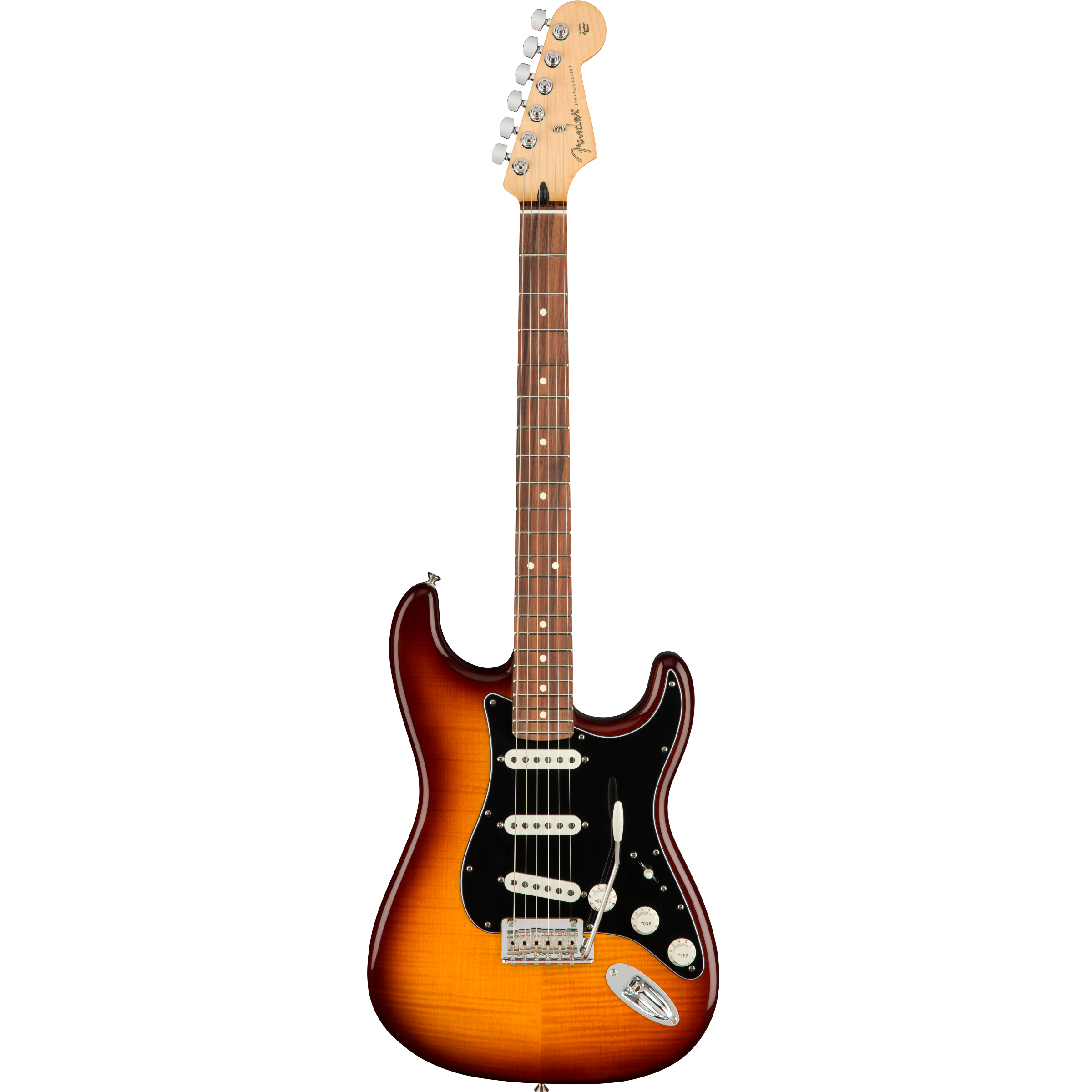 Fender strat plus top top