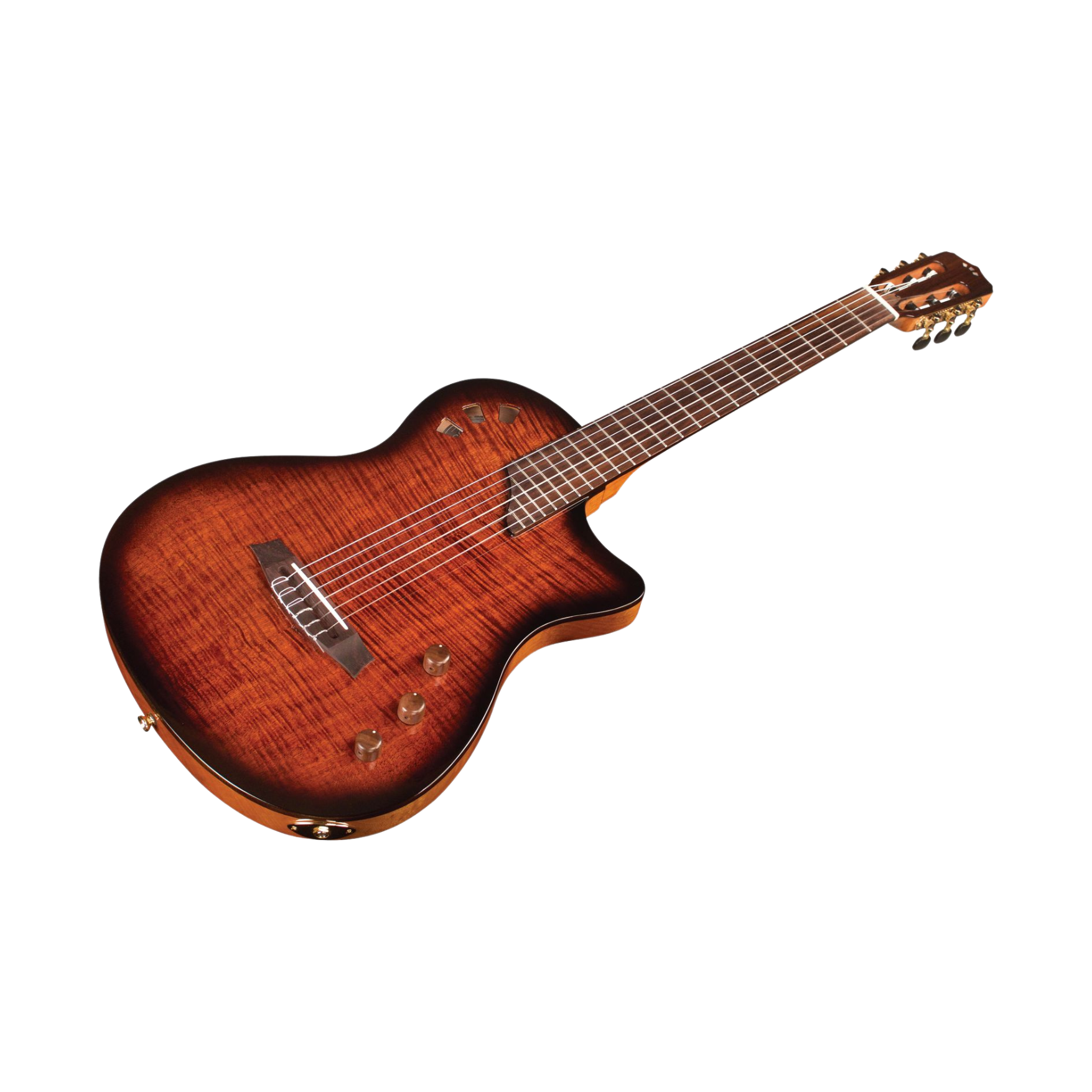 Cordoba STAGE GUITAR Fully Hollow Thin Body Classical Guitar w