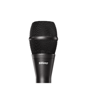 Shure KSM9/CG Multi-pattern Condenser Microphone, Chracoal Grey-Easy Music Center
