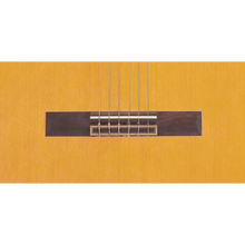 Load image into Gallery viewer, Takamine C132S Classical Nat, Solid Cedar Top, RW w/ Solid Back, RW-Easy Music Center
