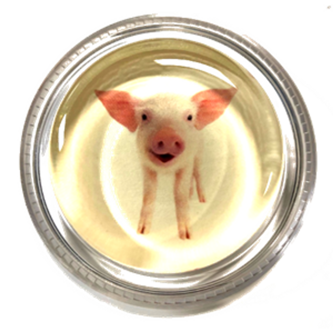 Magic Rosin PIG-3GM Mr. Piggles 3G Formula-Easy Music Center