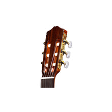 Load image into Gallery viewer, Cordoba C5-LIMITED Acoustic Classical Guitar Limited Edition, Flamed Mahogany-Easy Music Center
