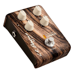 LR Baggs ALIGN-CHORUS Chorus Effect Pedal for Acoustic Instruments-Easy Music Center