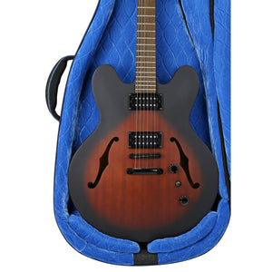 Reunion Blues RBCSH Voyager Semi/Hollow Body Electric Guitar Case-Easy Music Center