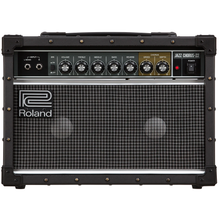 Load image into Gallery viewer, Roland JC-22 Jazz Chorus Amp - 30w, 2x6.5 in.-Easy Music Center
