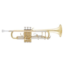 Load image into Gallery viewer, Bach BTR301 Student Trumpet-Easy Music Center
