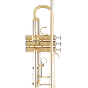 Bach BTR301 Student Trumpet-Easy Music Center