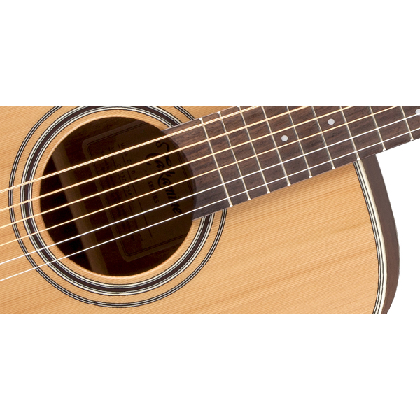 Takamine gd20ns online