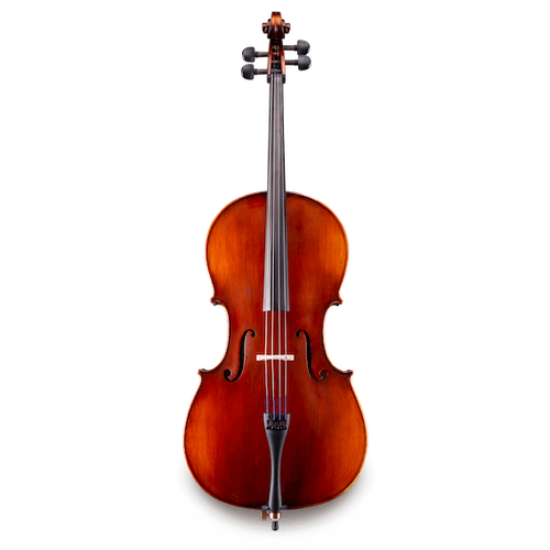 Eastman VC95SCB-4/4 Samuel Eastman 4/4 Cello Outfit, student, carved top, laminate back and ribs-Easy Music Center