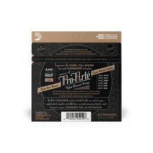 Load image into Gallery viewer, D&#39;Addario EJ43 Pro-Arte Nylon Classical Guitar Strings, Light Tension, Tie-end-Easy Music Center
