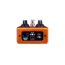 Load image into Gallery viewer, Source Audio SA246 One Series AfterShock Bass Distortion-Easy Music Center
