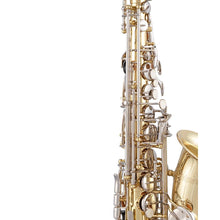 Load image into Gallery viewer, Selmer SAS301 Student Alto Saxophone-Easy Music Center
